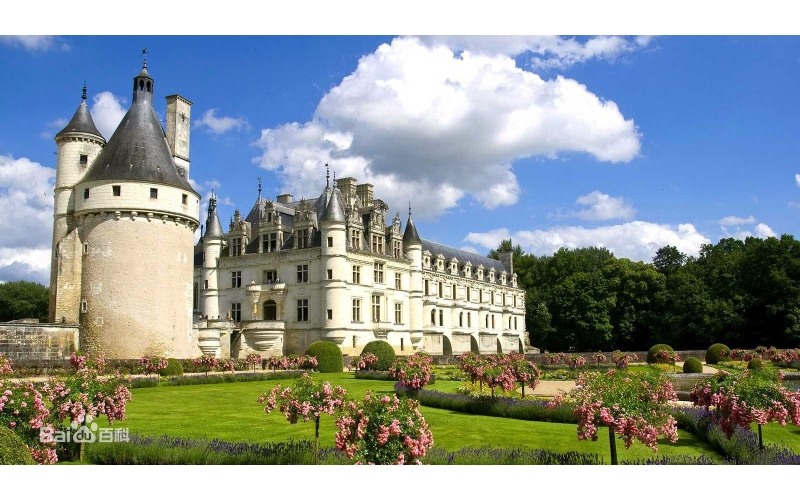 法國薩呂斯酒堡葡萄酒2