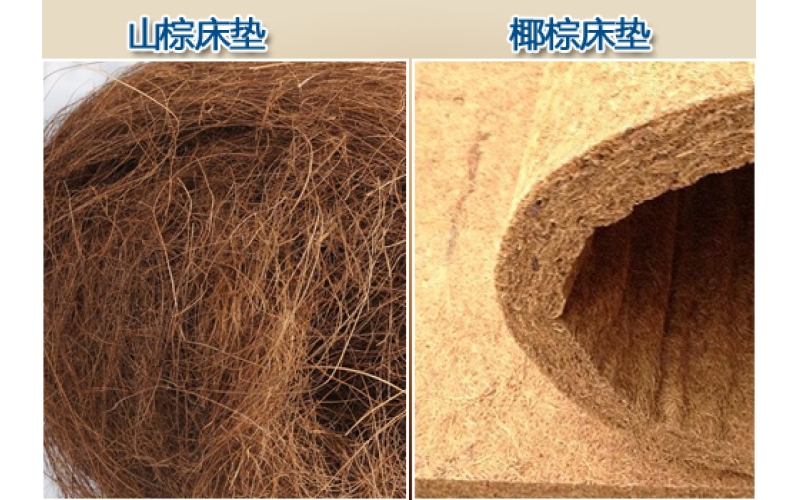 會呼吸的床墊 山棕床墊和椰棕床墊你更適合哪個？