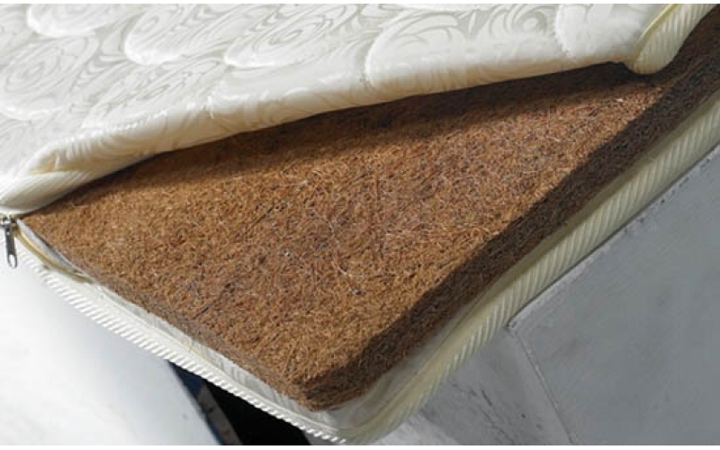 你需要清潔床墊嗎？