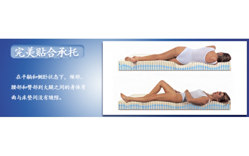 美國(guó)進(jìn)口SomniGel雙膠床墊怎么樣？